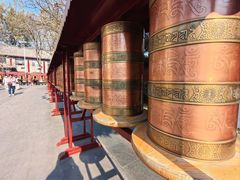 -护国法轮寺