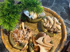 -慢丽江·云南野生菌土鸡锅(西山店)