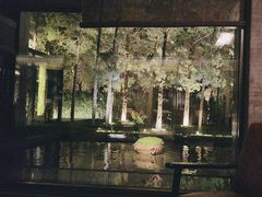 -曲水兰亭(北京四惠店)