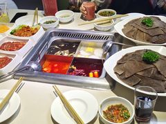 -海底捞火锅(吾悦国际广场店)