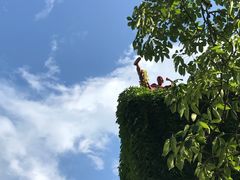 -伦教678文化街
