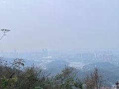 -岳麓山风景名胜区