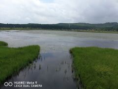 -塞罕坝国家级自然保护区