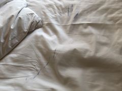 -上海漕河泾万丽酒店