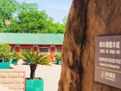 -中国紫檀博物馆