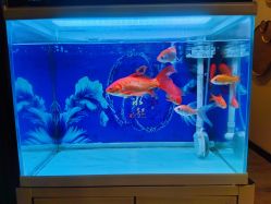 -青青一生美皮肤管理