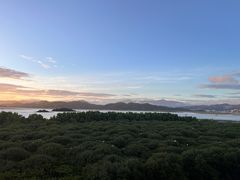 -盐洲岛