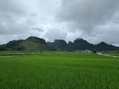 -靖西鹅泉风景区