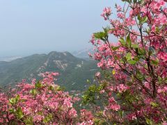 -木兰云雾山