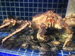 -必点海鲜·鲅鱼水饺(鞍山西道店)