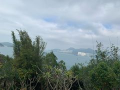 -南丫岛