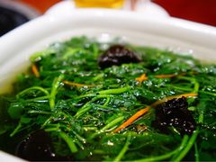 -国家五钻酒家·西樵旺阁渔村(西樵店)