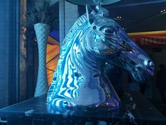 -东方金柜(郑州金水印象汇店)