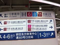 -东方体育中心(地铁站)