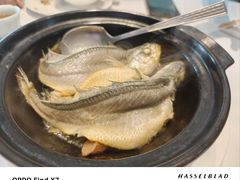 -春满园·早茶·粤菜·宴会(前海店)