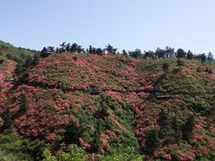 -木兰云雾山