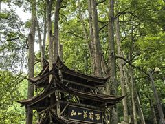 -青城山