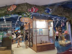 -龟与熊猫宠物公园(南坪店)
