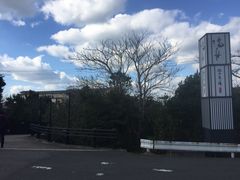 -滨千鸟之汤 海舟