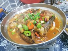 -龙小海荆沙鸽子店(瑞安街店)