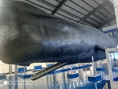 -上海海洋大学鱼文化博物馆(军工路校区)