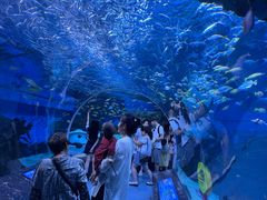 -海合安成都极地海洋公园