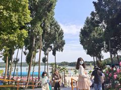 -仙海旅游度假区