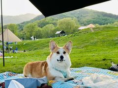 -玉渡山自然风景区
