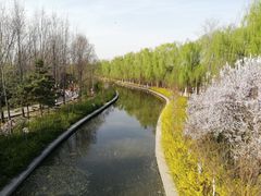 -洛阳市隋唐城遗址植物园