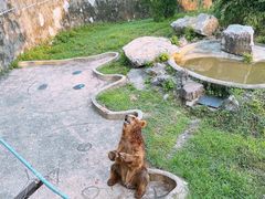-无锡动物园·太湖欢乐园