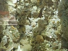 -湖南省地质博物馆