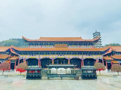 -大围山国家森林公园