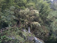 -华蓥山天意谷景区