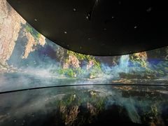 -中国湿地博物馆
