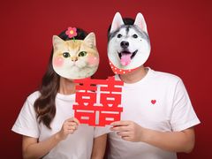 -bobo高端证件照工作室(三元桥店)