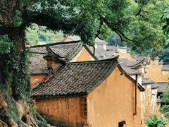 -杨家堂村