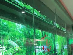 -亚马逊海鲜自助(梅溪湖步步高店)