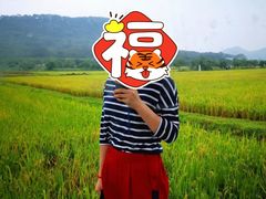 -艾米稻香小镇