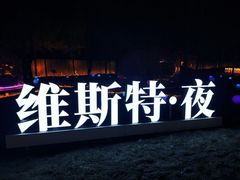 -维斯特·夜烤牛肋条任吃