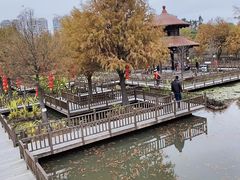 -五缘湾湿地公园
