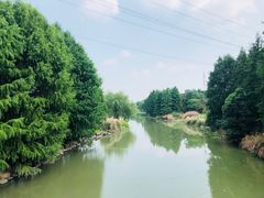 -九里河湿地公园