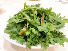 凉拌蓬蒿菜-顺风海鲜港(长寿路店)