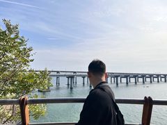 -星海湾跨海大桥