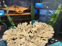 -天津自然博物馆