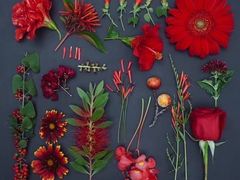 -森野花艺培训·企业团建活动沙龙