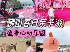 -盈香心动乐园
