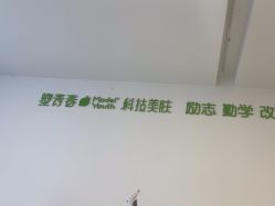 -塑青春&伊肤泉祛痘皮肤管理