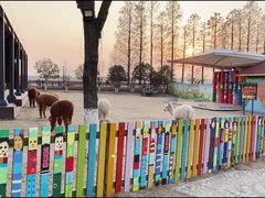 -太阳岛度假酒店