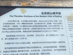 -白草畔自然风景区