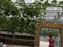 -迪茵湖田家舍生态农场